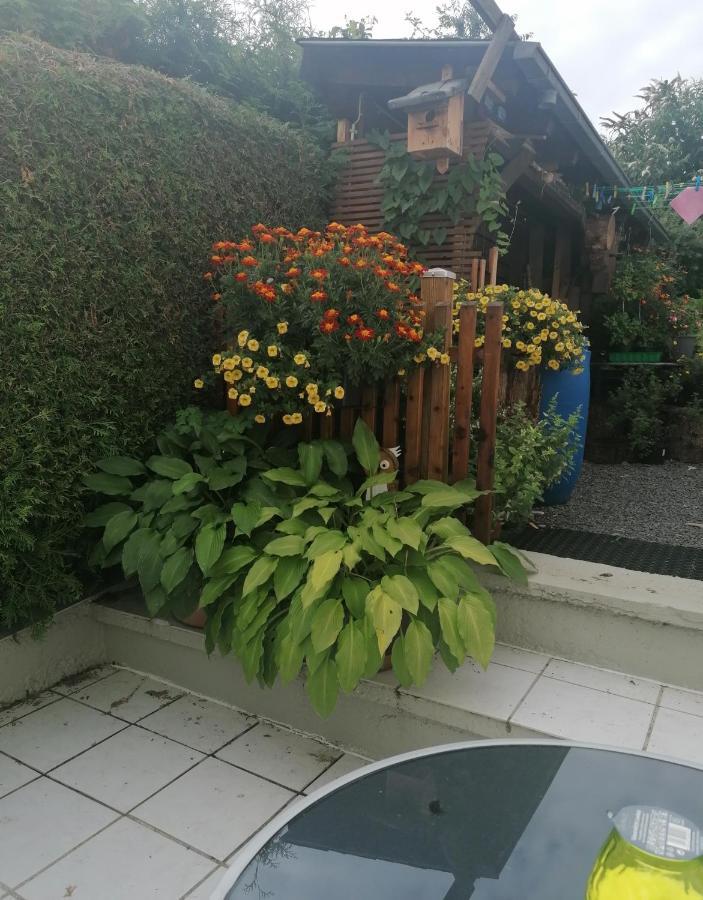 Ferienwohnung Grete Трір Екстер'єр фото